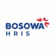 Programikonen: HRIS BOSOWA