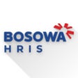Иконка программы: HRIS BOSOWA