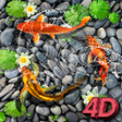 プログラムのアイコン：4D Koi Fish Live Wallpape…