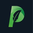 Programikonen: Paraphrase - Paraphrasing…