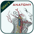 Grays Anatomy - Anatomy Atlas