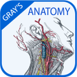 程序图标：Grays Anatomy - Anatomy A…