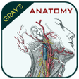 Programikonen: Grays Anatomy - Anatomy A…