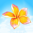 Programikonen: Indian Flowers