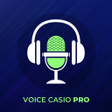 プログラムのアイコン：Voice Casio Pro
