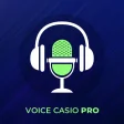 Voice Casio Pro