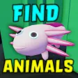 Find The Animals 102