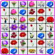 程序图标：Onet Flowers