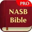 ไอคอนของโปรแกรม: NASB Pro