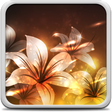 Programikonen: Glowing Flowers Live Wall…
