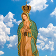 Virgen Guadalupe photo editor