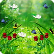 Programikonen: Garden Live Wallpaper