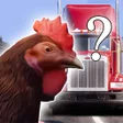 Icoon van programma: Animal Cross Road