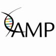 Ikona programu: AMP Meetings