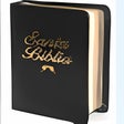 Icône du programme : Bibliasoft