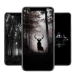 程序图标：Dark Wallpaper HD