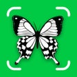 程序图标：Insect Identifier: Entomo…