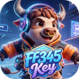 Icoon van programma: FF345Key
