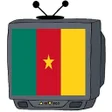 プログラムのアイコン：TV CAMEROUN - KAMER TV