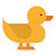 Programikonen: Duck Duck Private