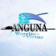 Icoon van programma: Anguna: Warriors of Virtu…