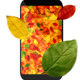 Programikonen: Autumn leaves 3D LWP