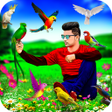 Programikonen: Bird Photo Editor