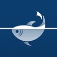 Иконка программы: Fish Finder  Identifier A…