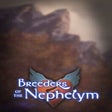 程序图标：Breeders of the Nephelym:…