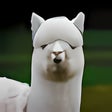 Ícone do programa: Alpaca Wallpaper New Tab …
