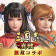 プログラムのアイコン：三國志 真戦