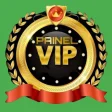 PAINEL VIP PRO