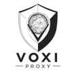 Icona del programma: VoxiProxy VPN