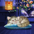 程序图标：Sleeping Cat Live Wallpap…