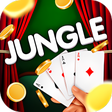 プログラムのアイコン：Arkanoid Rum Me In Jungle