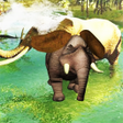 程序图标：Crazy Elephant Runner