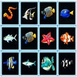 ไอคอนของโปรแกรม: Fish Connections