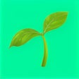 Programikonen: Aliae