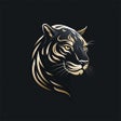 Programikonen: 猎豹一键畅游加速器vpn