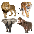 程序图标：Animal Sounds