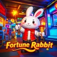 أيقونة البرنامج: Draw Rabbit