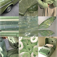 Ikon program: Green Aesthetic Wallpaper