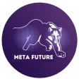 Meta Future