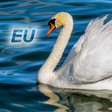 Programikonen: Nature Free - Europe