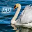 Nature Free - Europe