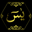 Programikon: Surah Yasin Audio MP3