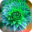 أيقونة البرنامج: Macro Wallpaper HD