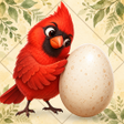 Programikonen: Bird Egg: Logic Puzzles