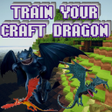 Programikonen: Train your Craft Dragon