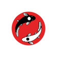 Programikonen: Yotto TR